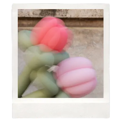 la primavera que nos escribimos