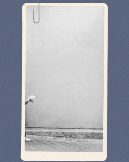 experiencias trimestrales escritura online